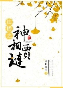 （红楼同人）红楼之神相贾琏